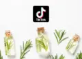 The Truth Behind TikTok’s Viral Water-Powered Gadget Claims